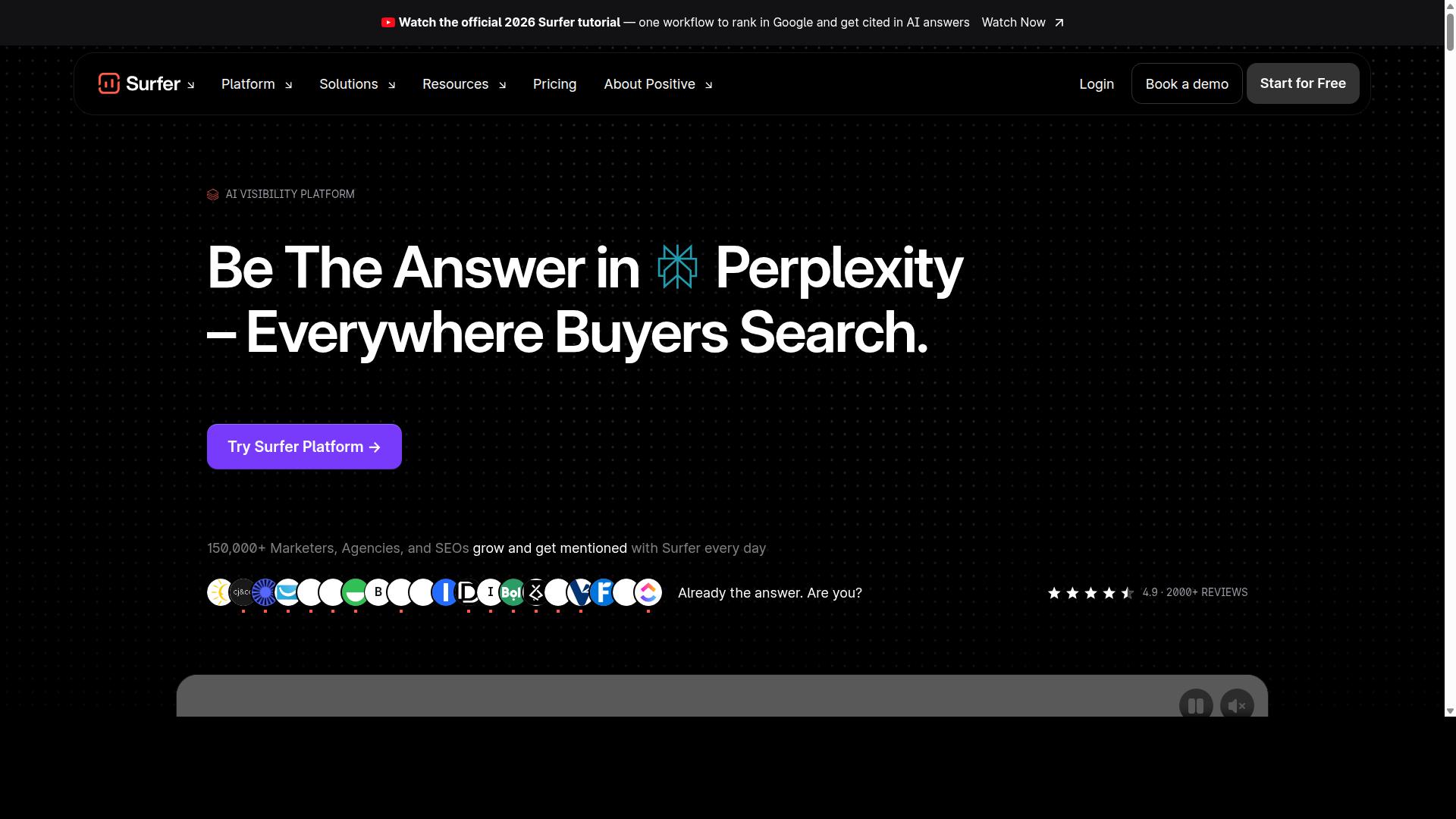 Surfer SEO website